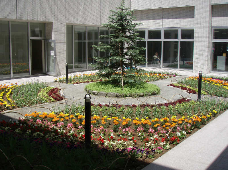 施設の花壇