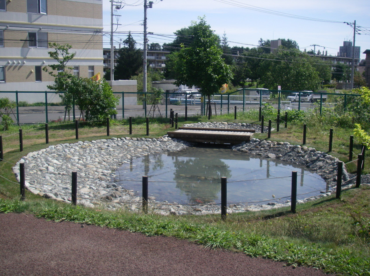 学校ビオトープ